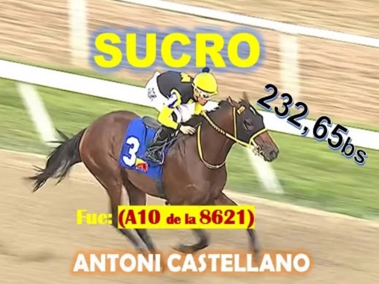 Miniatura de LO MEJORES ACIERTOS LA RINCONADA ABRIL/MAYO