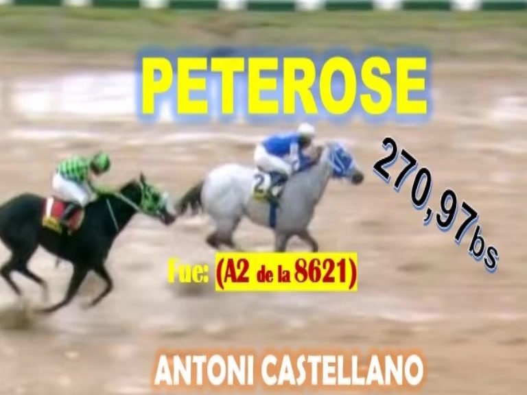Miniatura de ULTIMOS ACIERTOS HIPODROMO VALENCIA POR ANTONI CASTELLANO